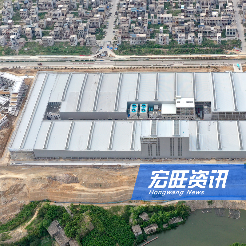 广西壮族自治区党委委员、自治区政府副主席胡帆一行莅临广西宏旺调研